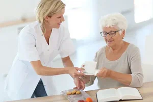 seniors caregivers